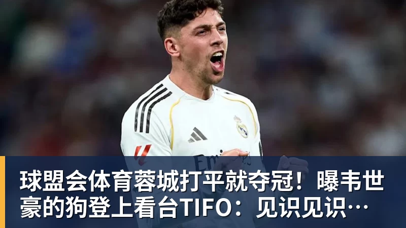 德甲小镇球队为何选择熊猫当吉祥物? - 球盟会体育 - 球盟会官方网站